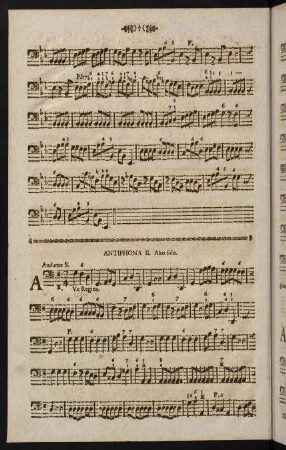 Antiphona II.
