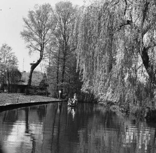 Spreewald. Fließ mit Kahn