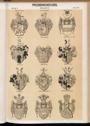 Taf. 263. Kötteritz. - Kötdschau. - Kottwitz. - Kotze. - Kotzebue. - Koven I. 1717, 9/III. - Koven II. - Koven III. - Koven IV. - Kowalck. - Kowalewski I. - Kowalewski II.