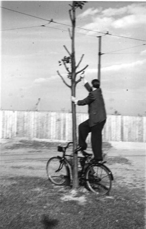 Berlin. Blick über die Berliner Mauer. Mann auf einem Fahrrad stehend und sich an einem Baum festhaltend