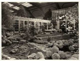 Ausstellungsgarten Deutsche Gartenbau-Ausstellung 1933, Berlin: Innenansicht Ausstellungshalle, Exotischer Wassergarten