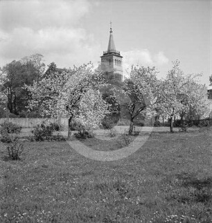 Evangelische Kirche Wollstein