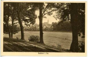 Dahlen. Stadtansicht mit Stadtkirche Unserer Lieben Frauen. Blick über eine Talaue nach Südosten