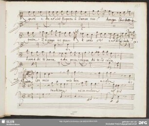 Duetto: Cor mio mio ben