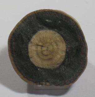 Schalenblende (Sphalerit-Varietät)