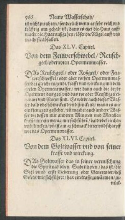 Das XLV. Capitel.