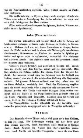 Würmer.