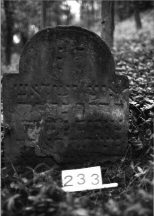 Grabstein 233 (Index: 99803329) Material: Sandstein Zustand: verwitt/eingesunk/Textverlust Maße HxBxT: 67x58x10 cm Beschreibung: Stele mit eingezogenem hohen Rundbogen: Grabstein 233