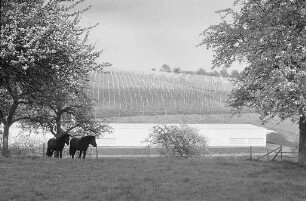 Weingut Freiherr Schilling von Canstatt Erben in Hohenwettersbach