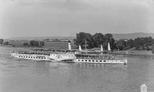 Personen-Seitenraddampfer "Leipzig" (1929, Werft Laubegast). Schrägansicht bei Fahrt elbaufwärts bei Pratzschwitz