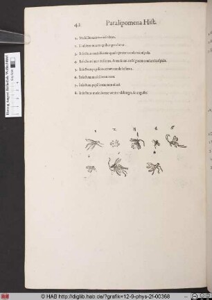 [Verschiedene Insekten]