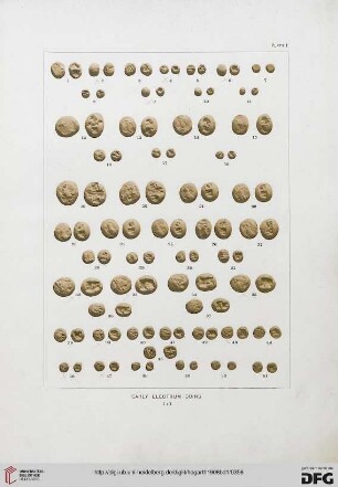Plate I-LII