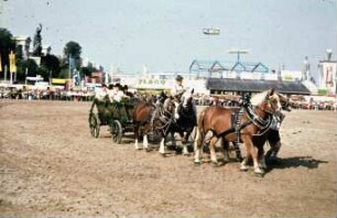 Fotografie: Landtechnik, Messebeteiligung, Pferdeanspannung