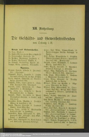 XII. Abtheilung. Berufsklassen und Gewerbebetriebe : XII. Abtheilung. Die Geschäfts- und Gewerbetreibenden von Oelsnitz i. V.