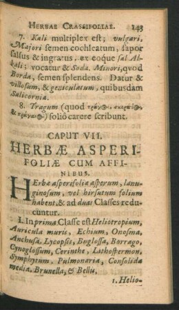 Caput VII. Herbae Asperifoliae Cum Affinibus.