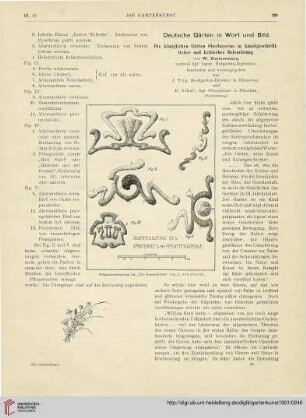 Die königlichen Gärten Oberbayerns in kunstgeschichtlicher und kritischer Beleuchtung, [2]