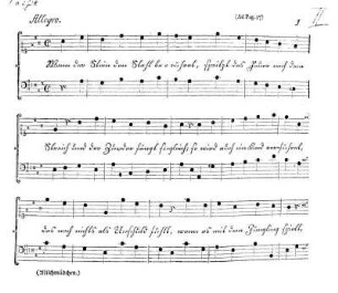(Ad Pag. 17)
