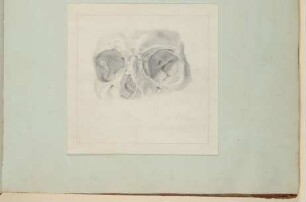 Die menschliche Augenhöhle [Vorzeichnung zu Samuel Thomas Soemmerring, Abbildungen des menschlichen Auges, Frankfurt am Main 1801, Tafel VII ("schattierte" Darstellung), Fig. 4]