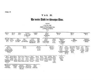 Tab. IX. Die vierdte Taffel der schwartzen Linie.