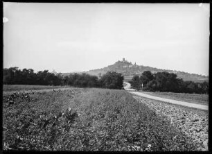 Krofdorf-Gleiberg. Ruine der Burg Gleiberg. Links im Bild der Turm der Burg Vetzberg