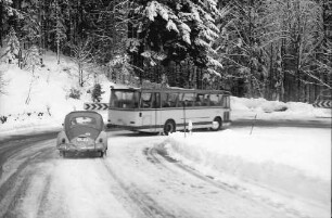 Schauinsland: Busse am Schauinsland