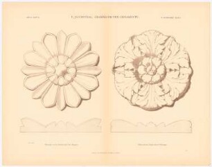 Grammatik der Ornamente: Rosette vom Grabmal des Scipio, Römische Akanthus-Rosette, Heft 3. Blatt 12.