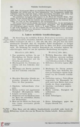 5: Äußere weibliche Geschlechtsorgane