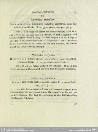 35. Convallaria multiflora