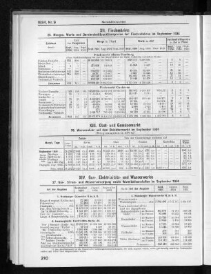 XIV. Gas-, Elektrizitäts- und Wasserwerke
