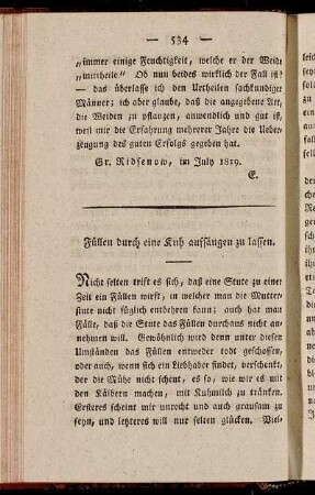 Füllen durch eine Kuh aufsäugen zu lassen