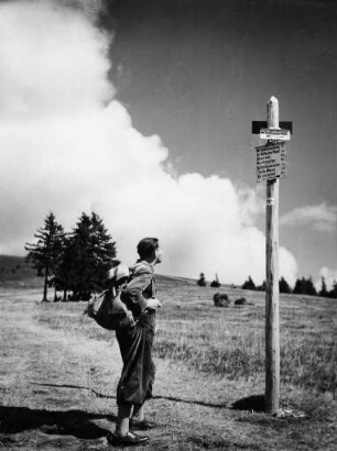 Auf dem Höhenweg am Feldberg