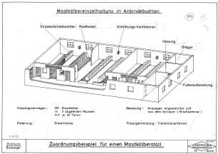 Zuordnungsbeispiel für einen Mastkälberstall