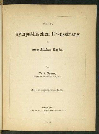 Ueber den sympathischen Grenzstrang des menschlichen Kopfes