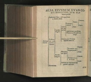 Alia Eivsdem Evangelii Dispositio, Qvae Elaborari potest [Tabula]