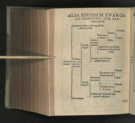 Alia Eivsdem Evangelii Dispositio, Qvae Elaborari potest [Tabula]