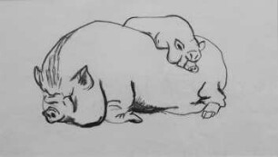 Schwein mit Ferkel