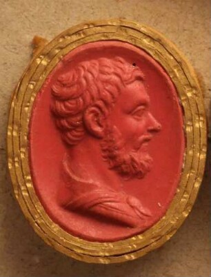 Albinus