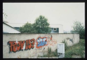 ROY 153