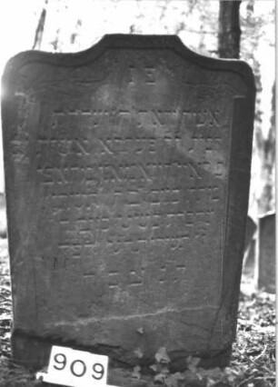 Grabstein 909 (Index: 99899389) Material: Sandstein Zustand: angewittert Maße HxBxT: 109x74x10 cm Beschreibung: Stele mit Schulternbogenabschlss, im Bogenfeld Ranken Symbolik: Ranken: Grabstein 909