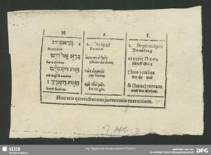 Hoc erit quotidianum iuventutis exercitium