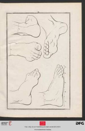 Taf. 9 [Füße (Proportionen; Kontur)]