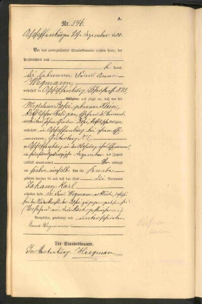 Standesamtsbuch der Stadt Aschaffenburg: Geburten 365/1900 - 184/1901