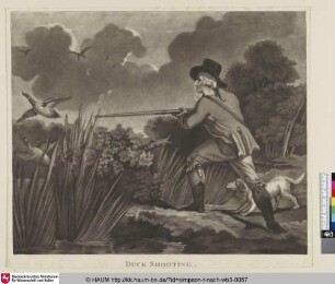 Duck Shooting