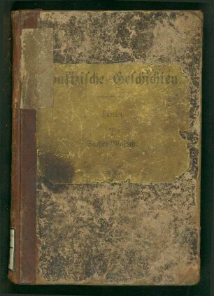 Salizische Geschichten : Novellen