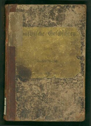 Salizische Geschichten : Novellen