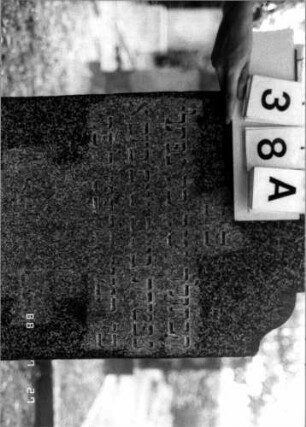Grabstein 38 (Index: 100110155) Material: Granit Zustand: gut Maße HxBxT: 119x51x16 cm Beschreibung: Stele, geschwungener Rundbogenabschluß Symbolik: Davidstern Besonderheit: Geschwistergrab: Grabstein 38A