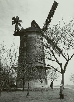 Winkwitz, Turmwindmühle