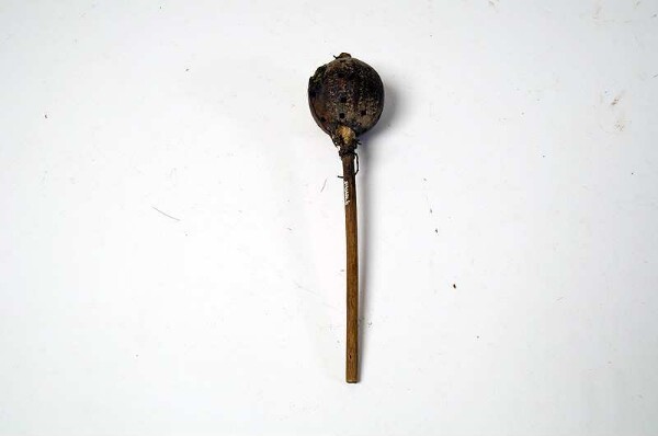 Rod rattle (fertility spell)