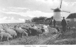 Buttstädt. Lerchenmühle, Turmholländer, Ansichtskarte