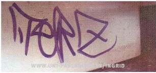 "TeRZ